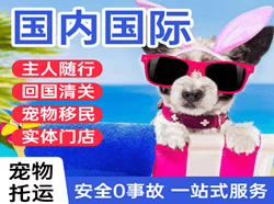 银川河东机场快运国际宠物托运 【国